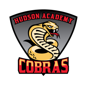 link to Code of Success