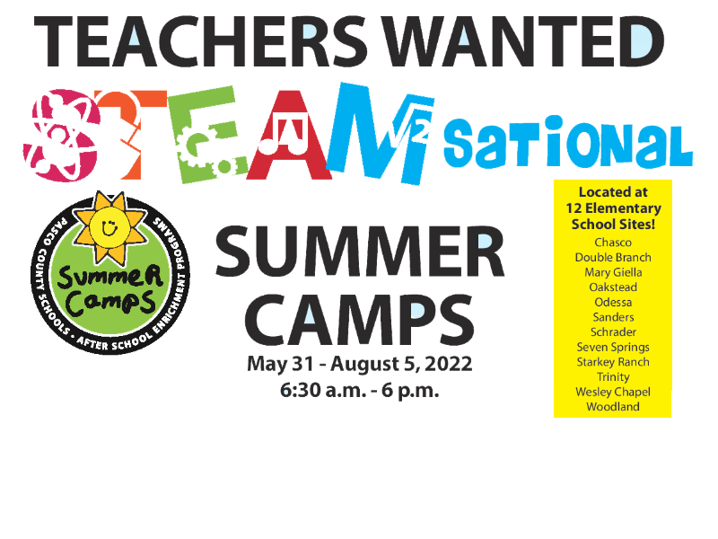 STEAMsational Summer Camps for Teachers