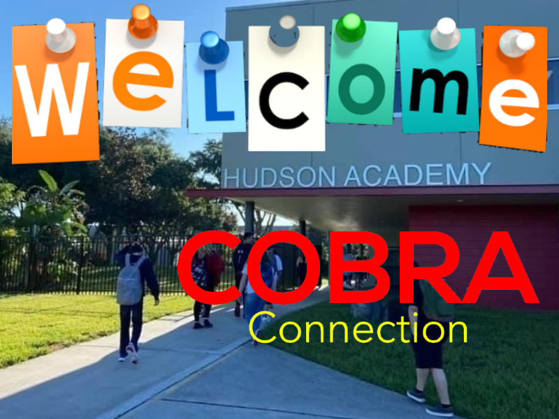 Cobra Connection Camp